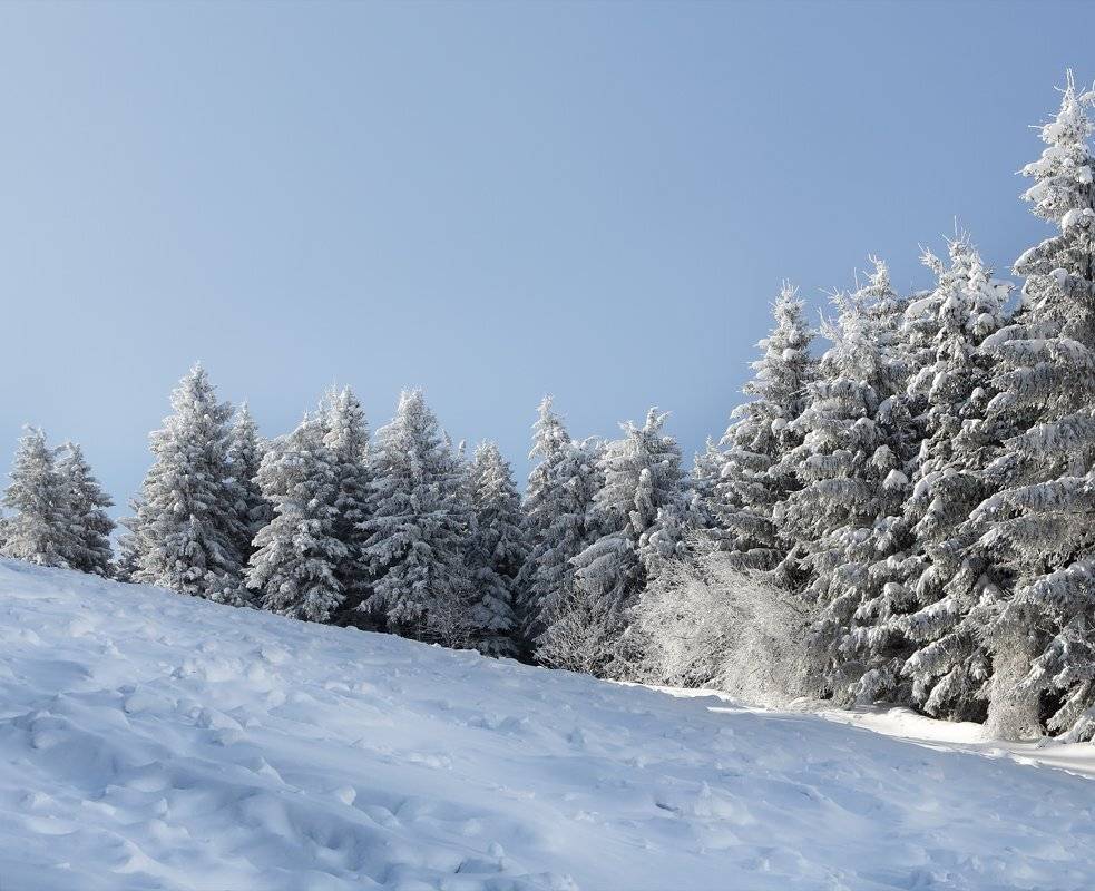 германия, harz, hahnenklee, borckberg, Игорь Дубровский