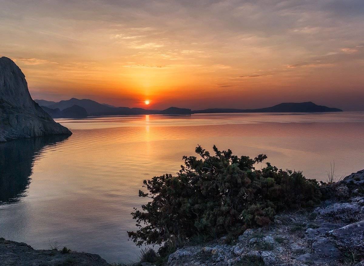 , Игорь Мелекесцев