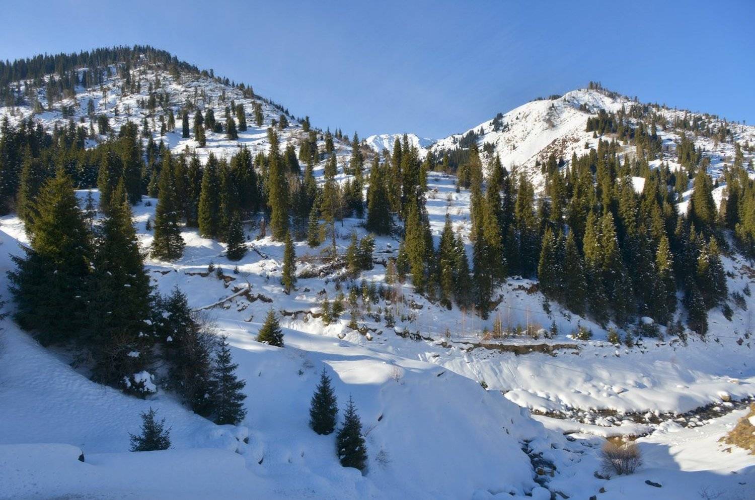 , Сергей Седов