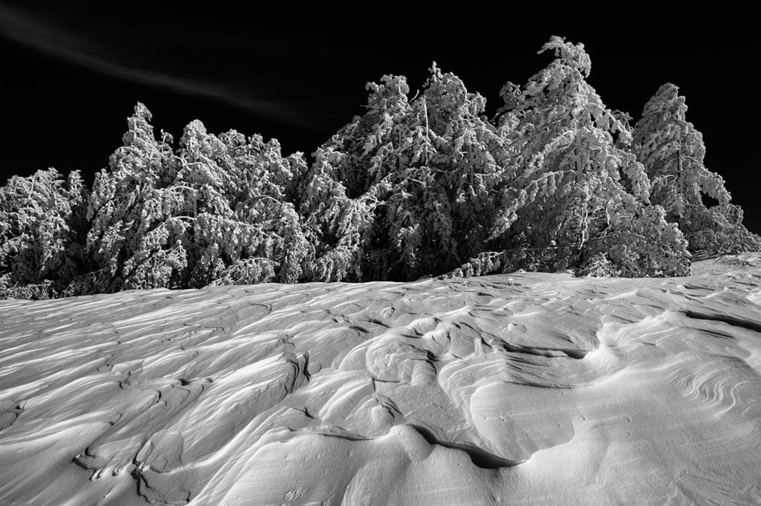 , Момчил Великов