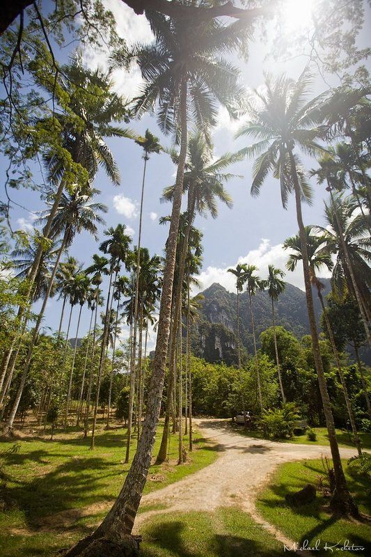 Khao Sok фото превью
