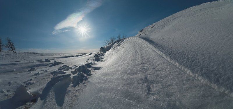 финский залив, дюны, март, контровой свет, весна, контровой ~88~ фото превью