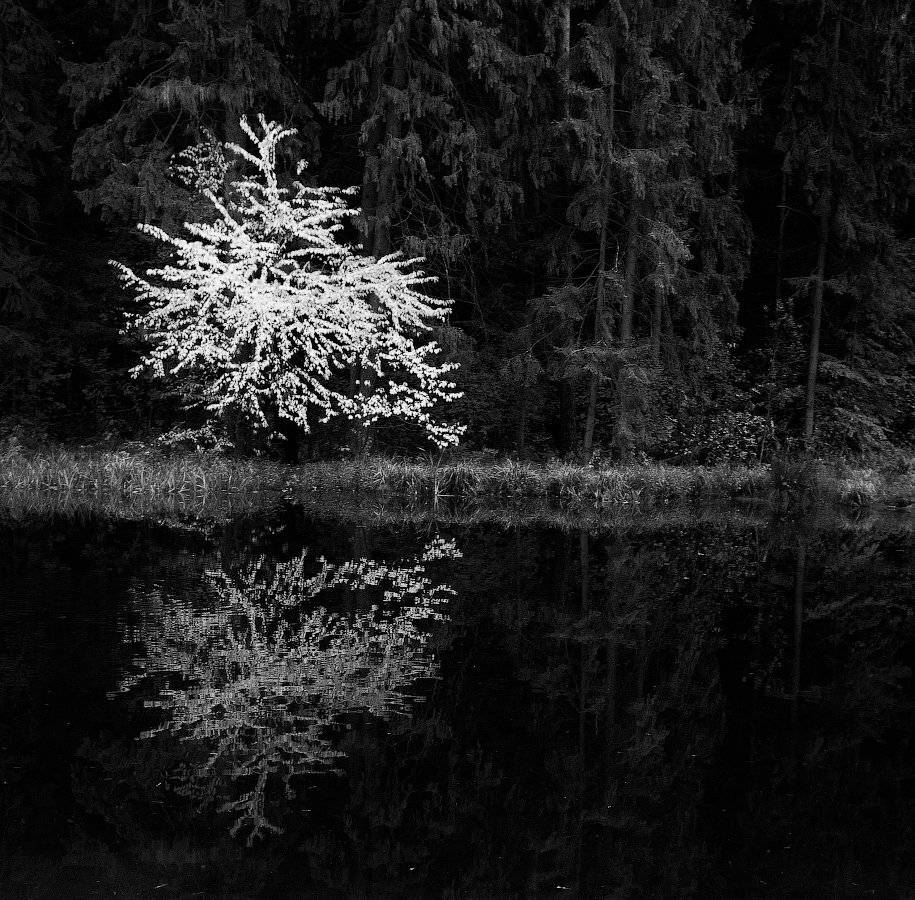 , Пеккер Сергей