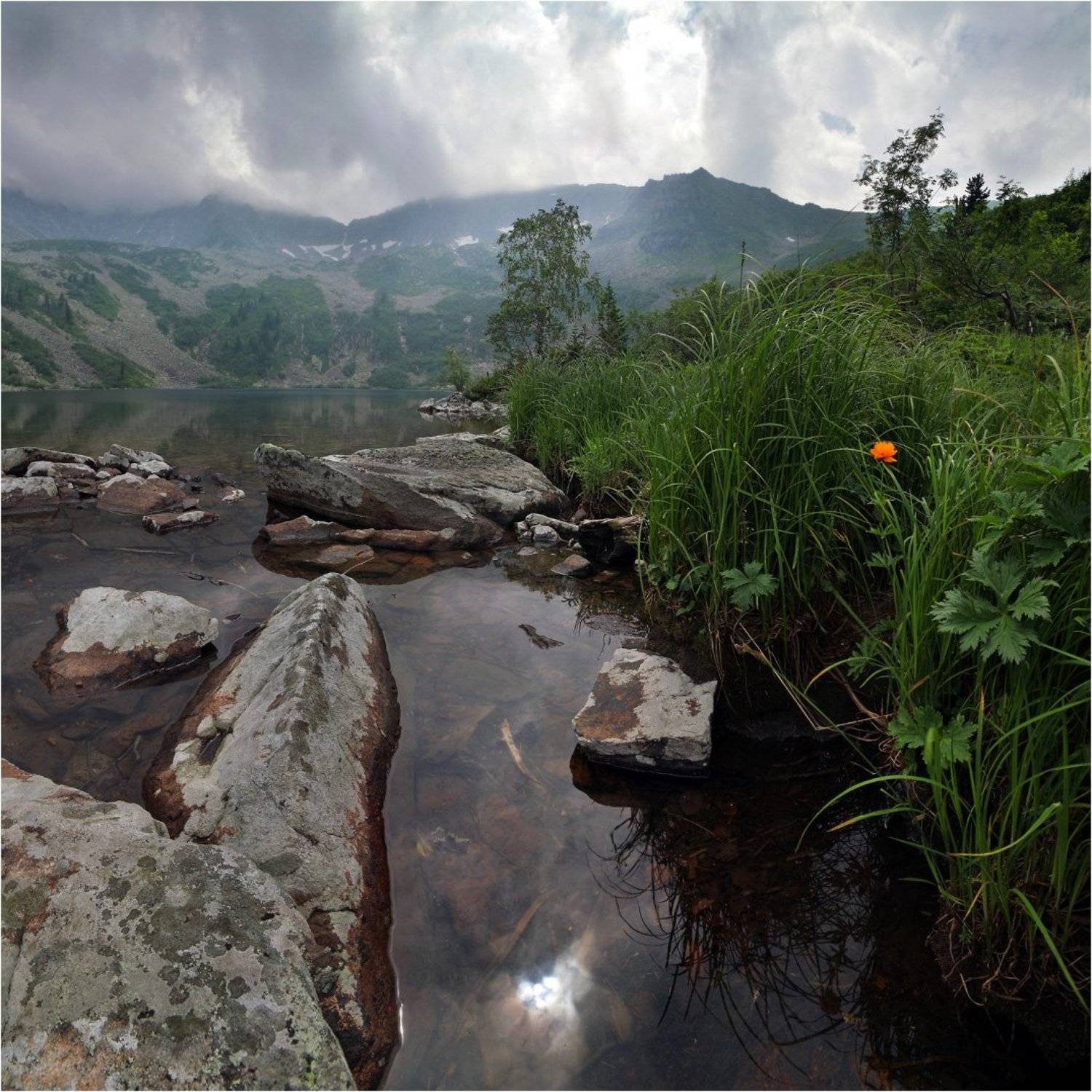 , Устинович Александр