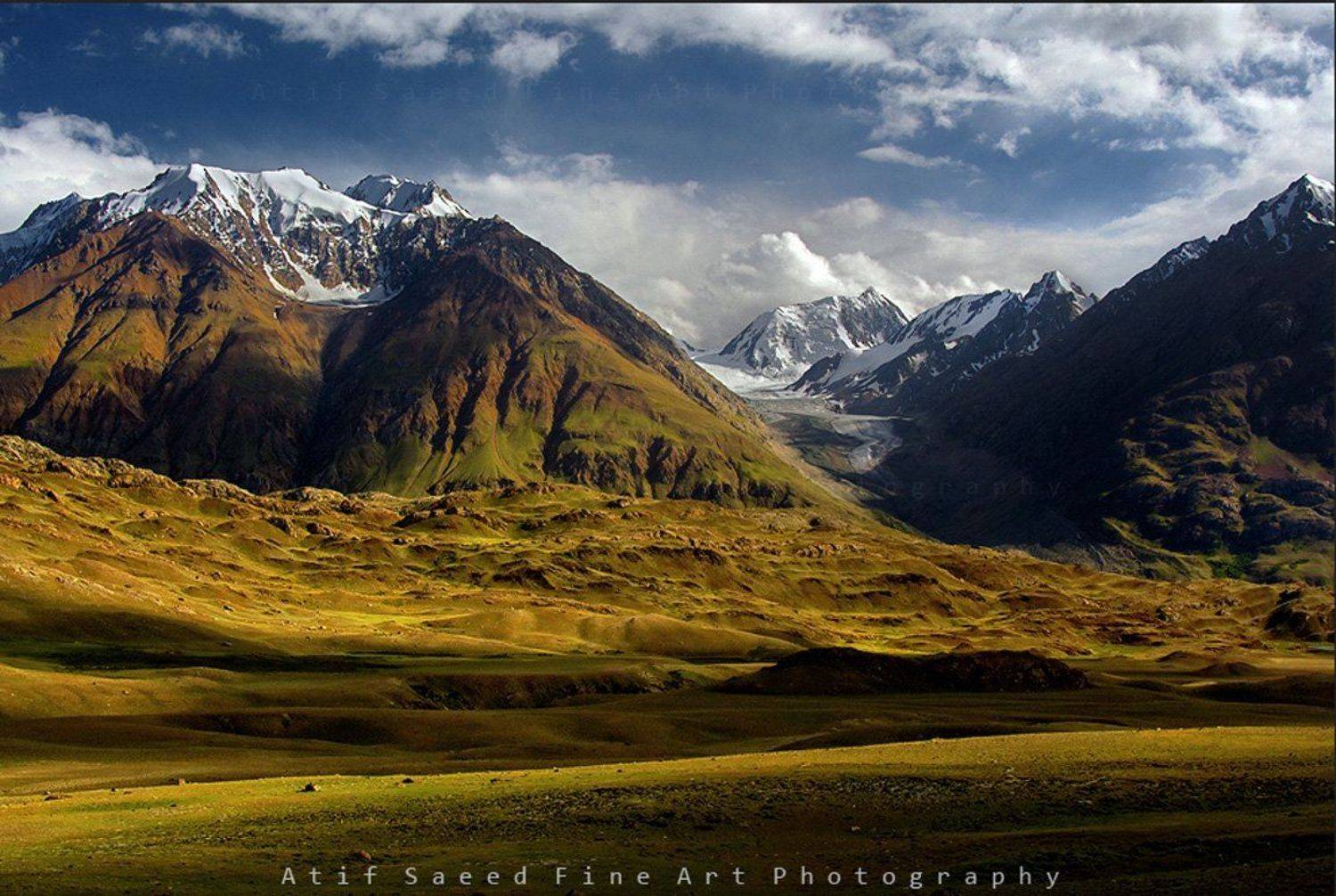 , M Atif Saeed