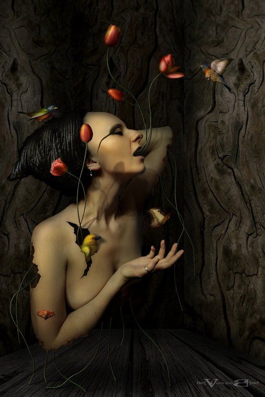 арт, фото, сюрреализм Рождение красоты фото превью