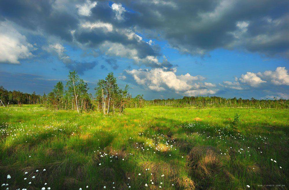 , Kantsyrenko Sergey