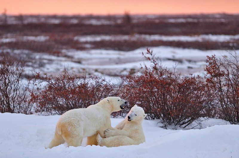 Закатная фото превью