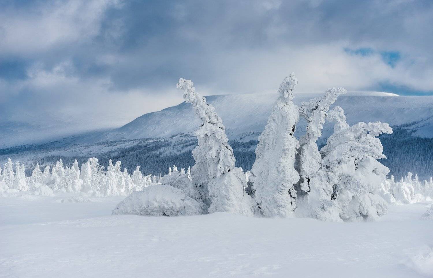 ГУХ Урал, Кутыгин Эдуард