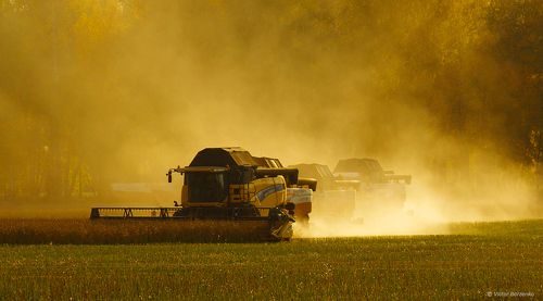 Битва за урожай