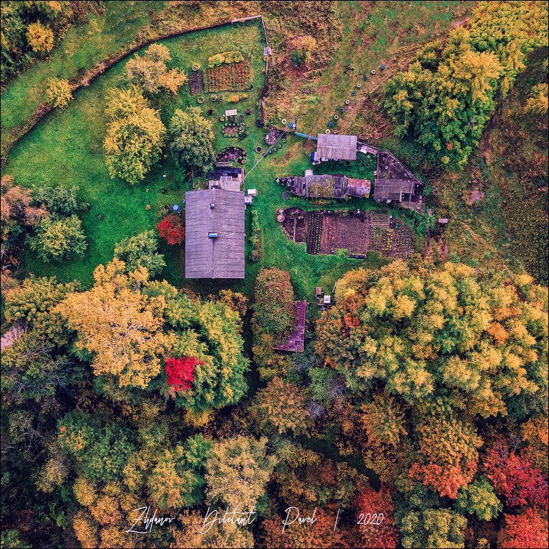 Осень фото превью