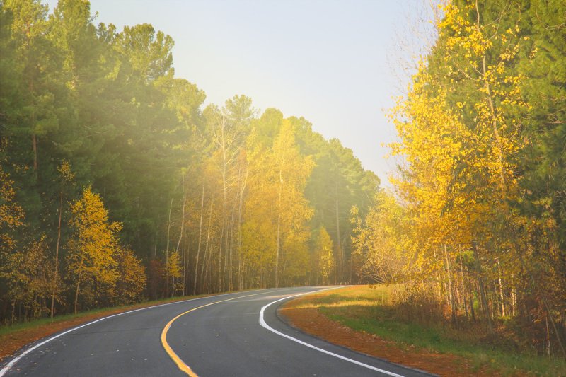 Autumn road фото превью