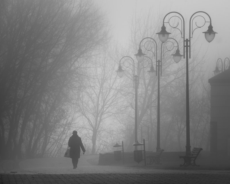 Morning walk фото превью