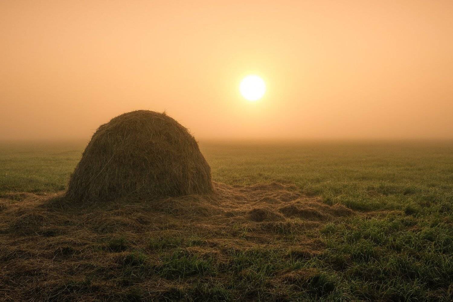 , Екатерина