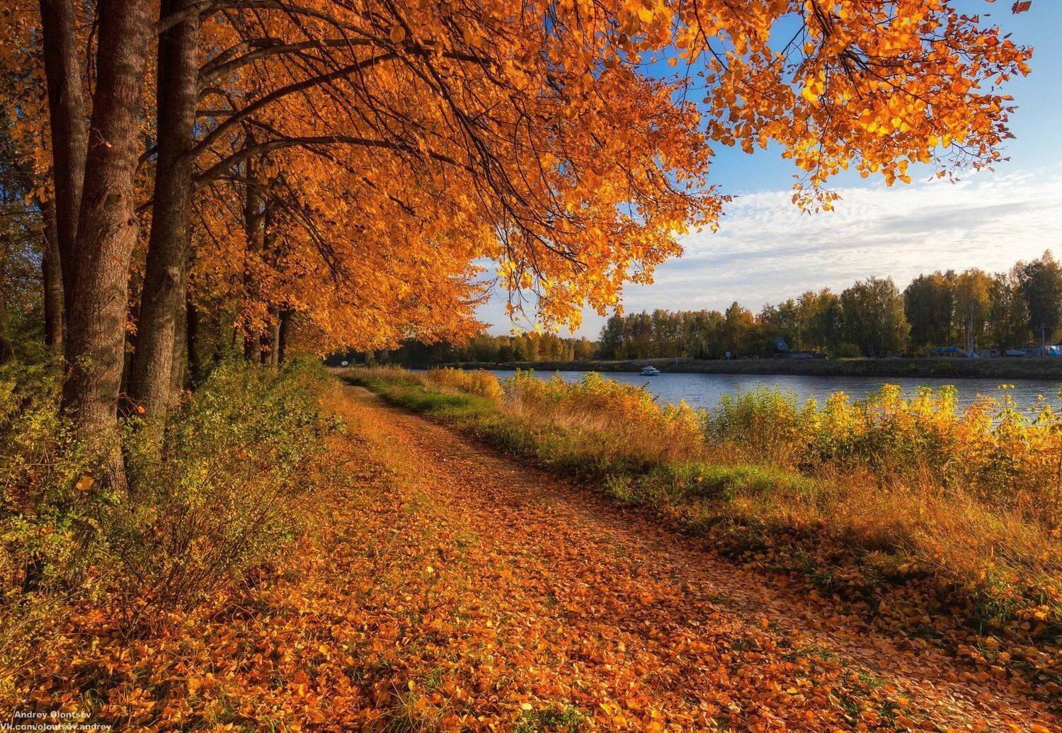 солнце, россия, рассвет, природа, подмосковье, погода, пейзажи, пейзаж, отражение, наукоград, красота, дубна, вода, весна, weather, water, spring, russia, reflection, naukograd, nature, moscow, landscape, dawn, canon, dubna, beauty, Андрей Олонцев