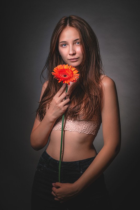 Gerbera фото превью