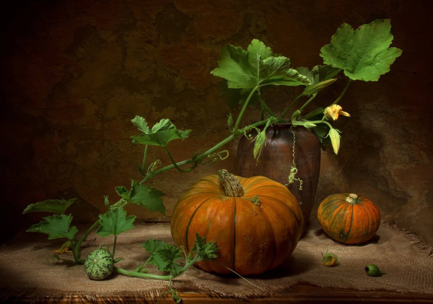 натюрморт, тыква, тыквы, Татьяна Феденкова