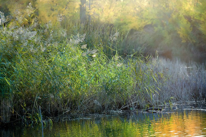 южный урал,оренбургская область, орск, новотроицк, Урал фото превью