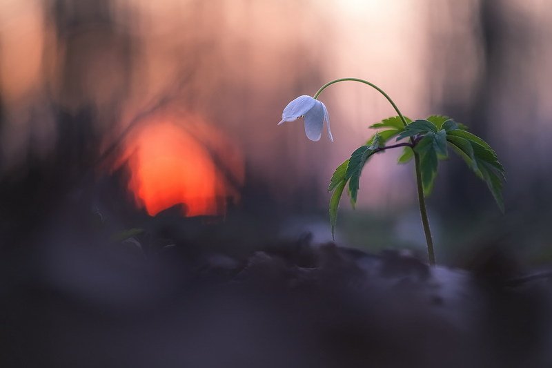 Уединение фото превью