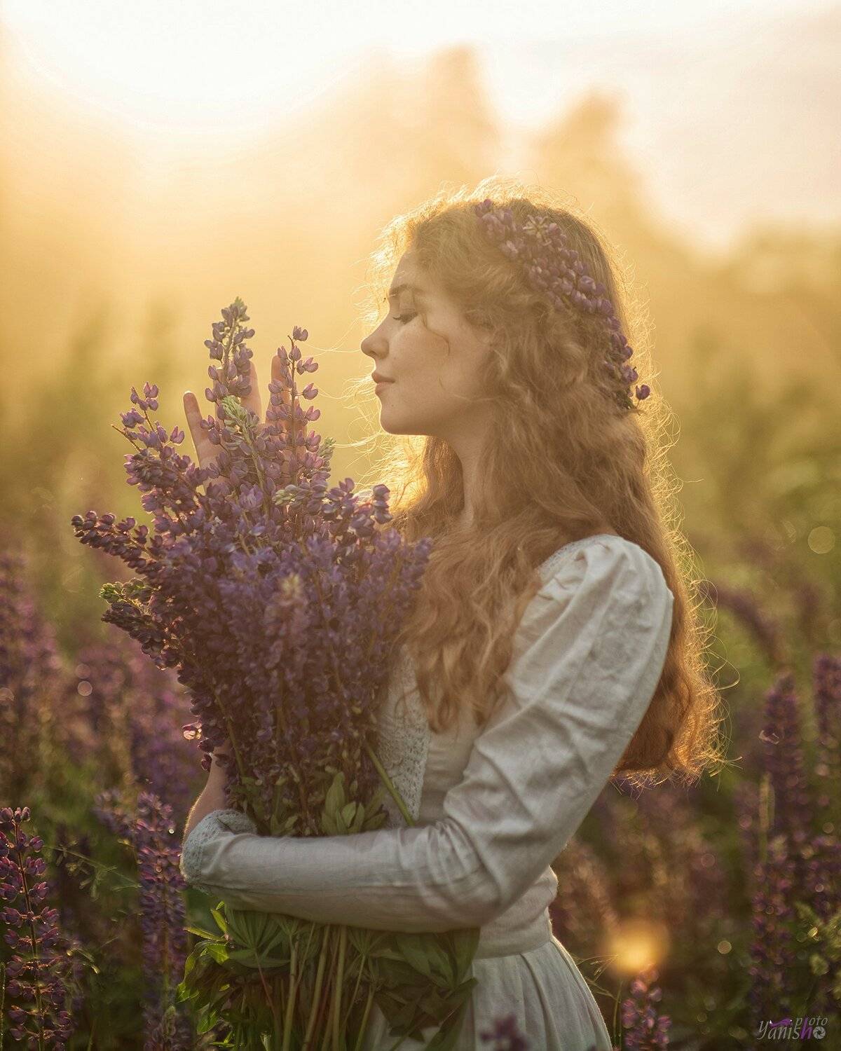 девушка, цветы, закат, поле, люпины, лето, конровичок, красота, сказка, портрет, женский портрет, Янина Ермакова