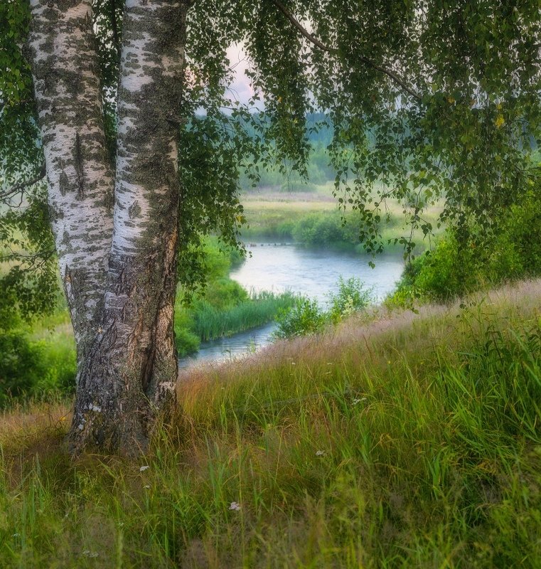 Под березой у реки фото превью