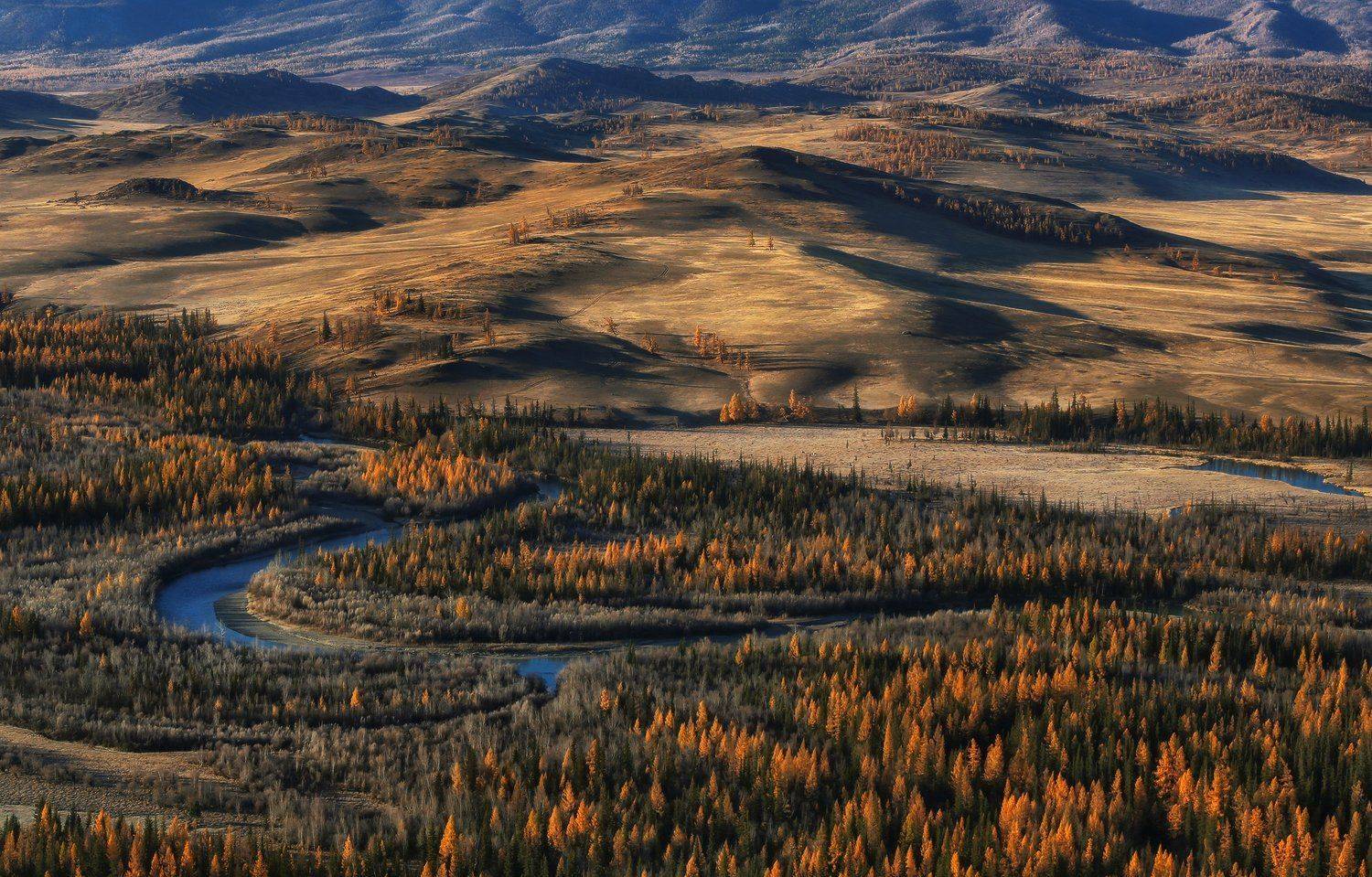 алтай, горный алтай, горы, сибирь, курай, Галина Хвостенко