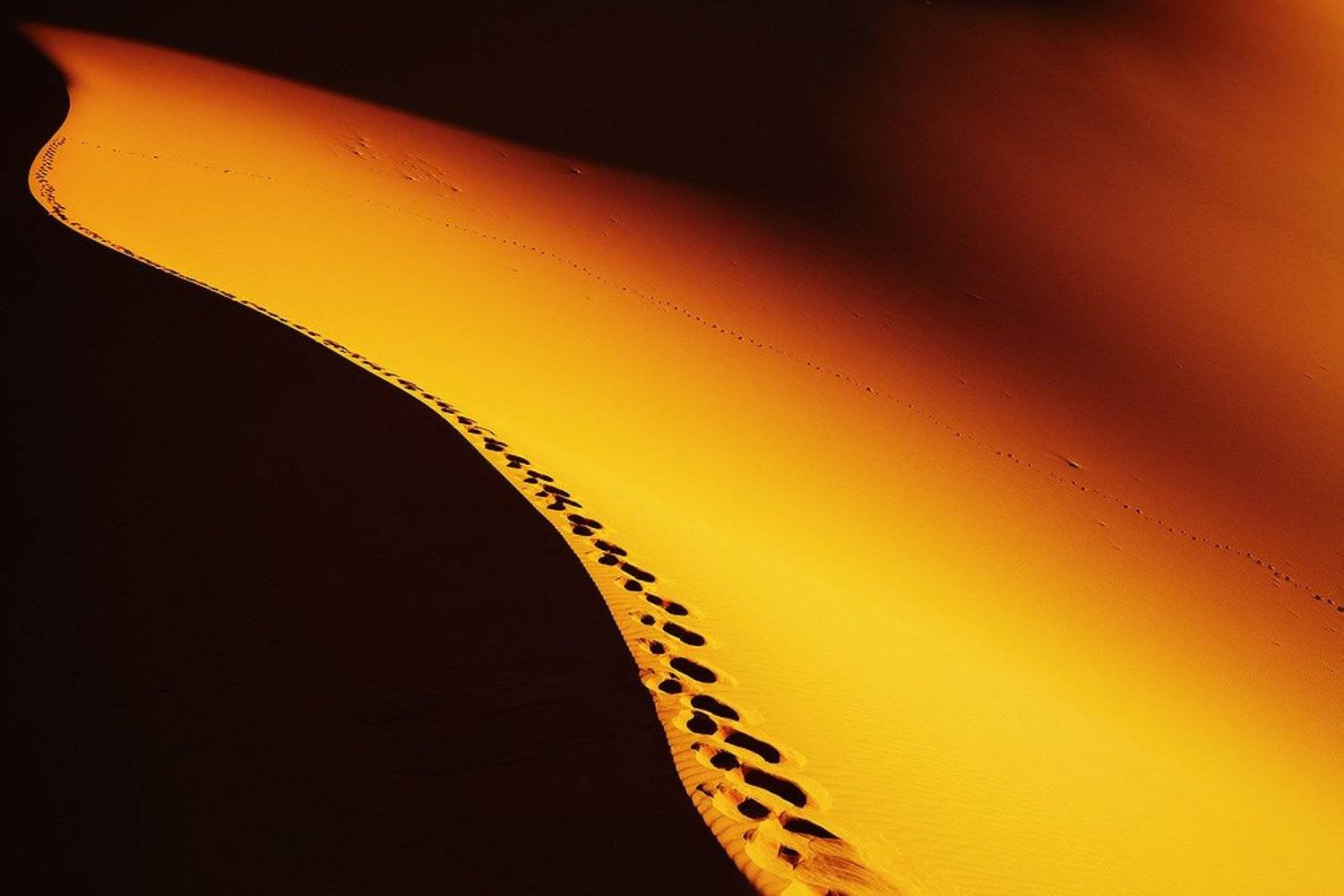 , Пичугин Дмитрий