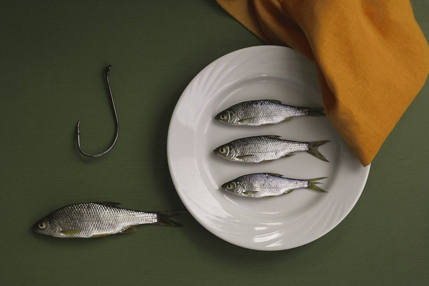 натюрморт, минимализм, Ольга Алексейчик