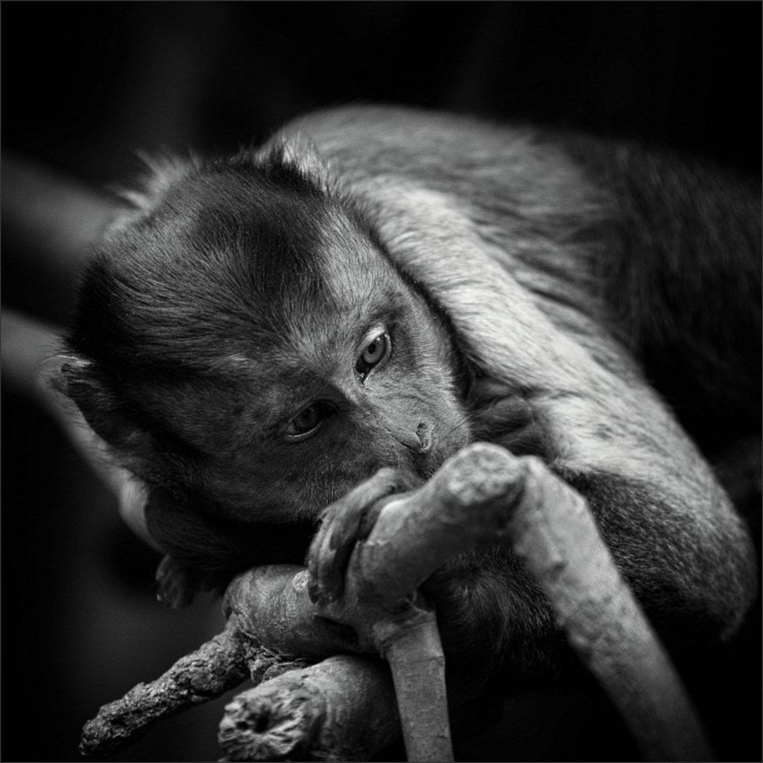 , Сергей Фудиненко