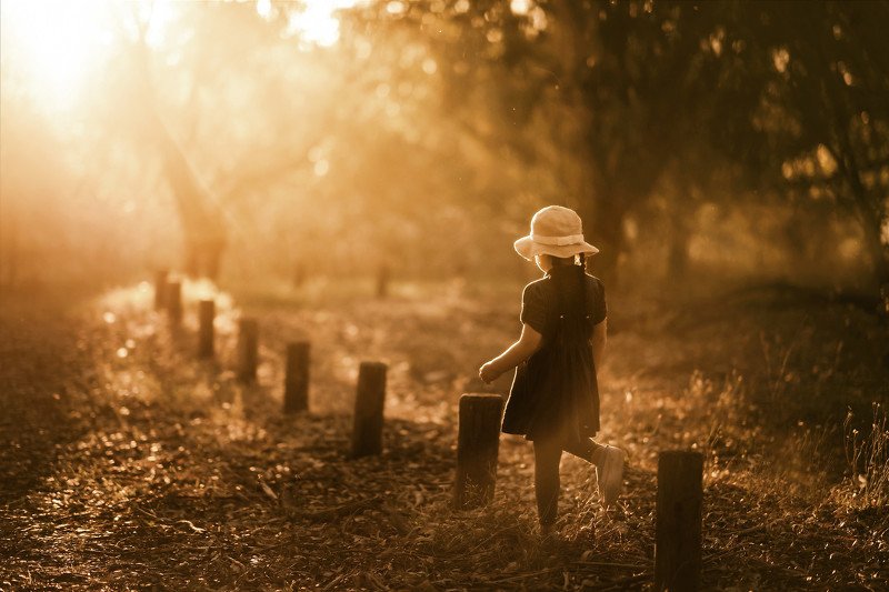 In the woods фото превью