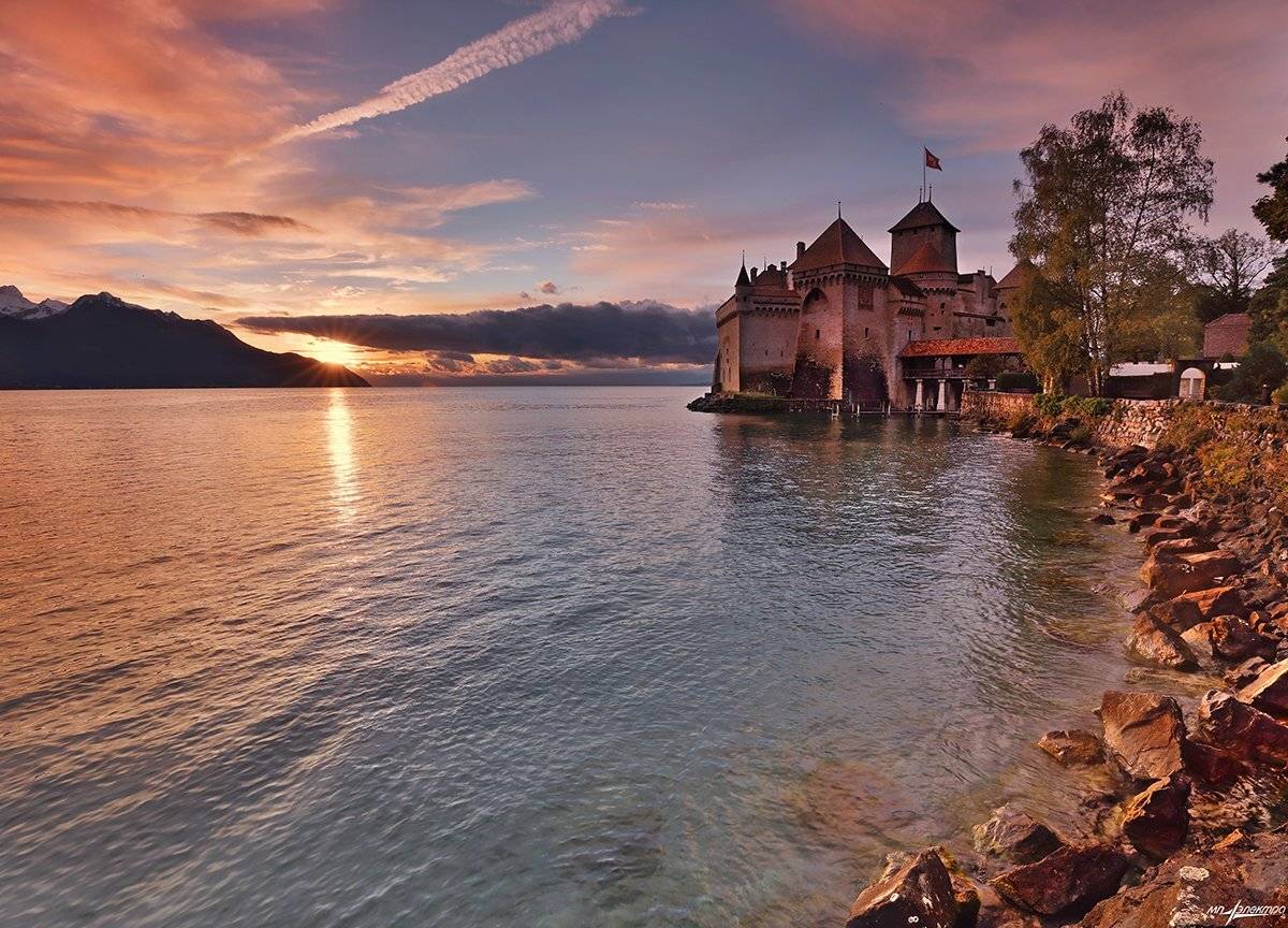 swiss, Матвеев Николай