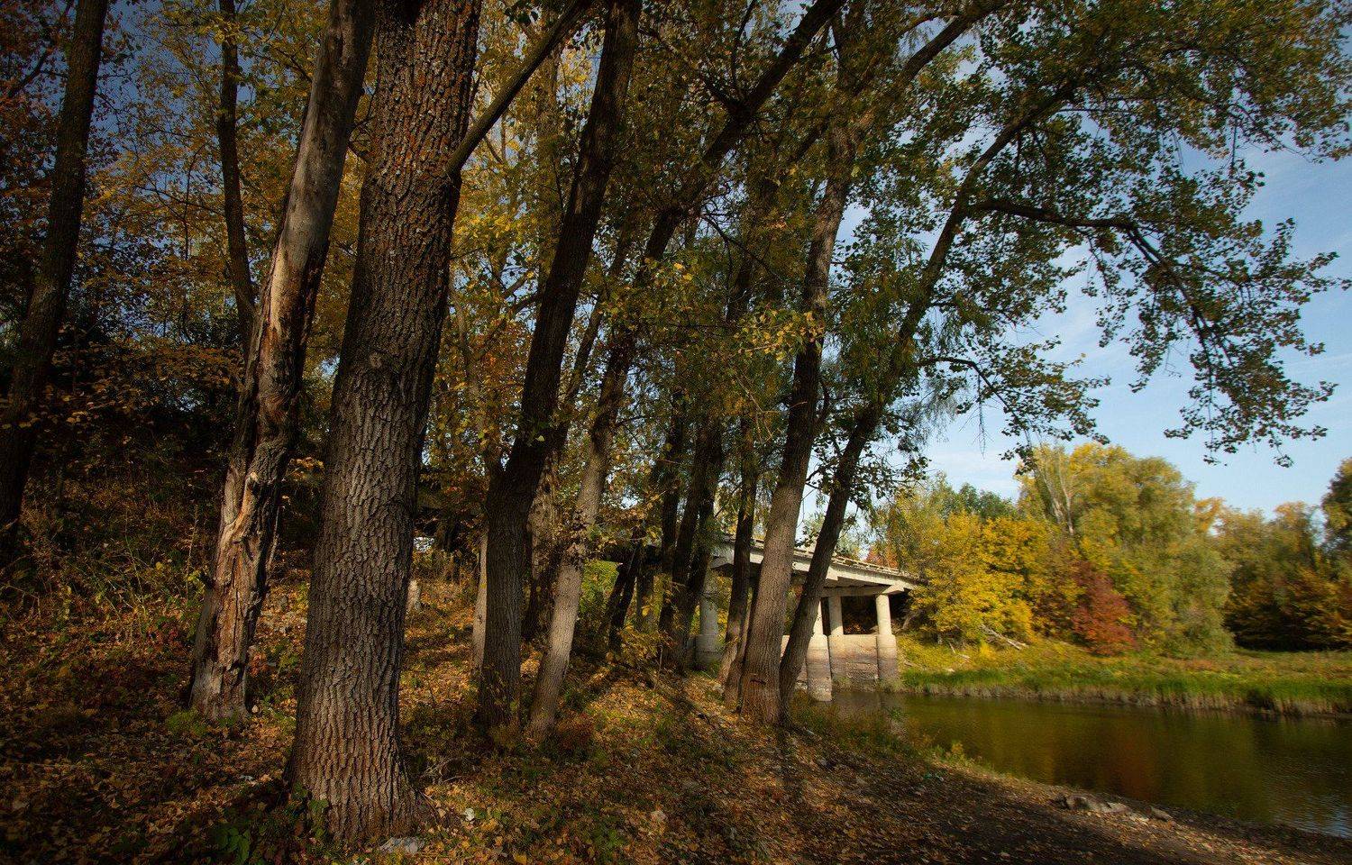 , Александр Казин