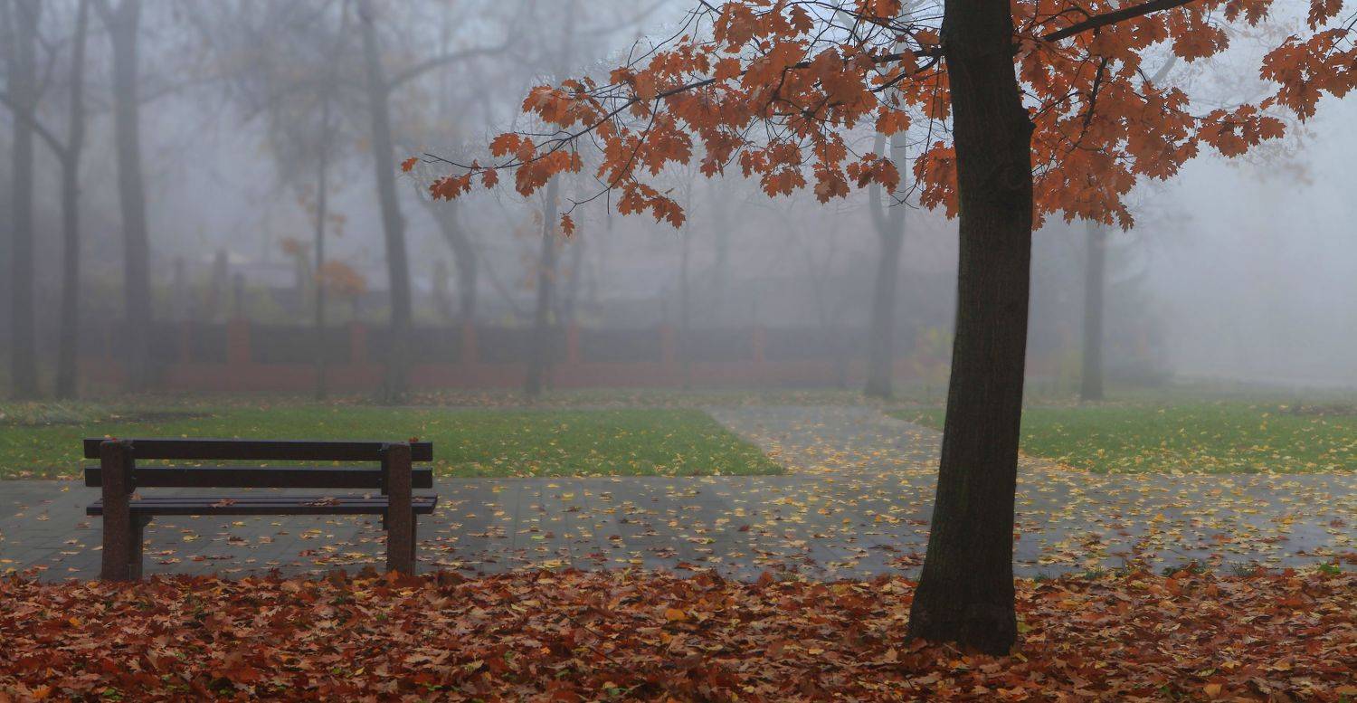 , Милокост Алексей