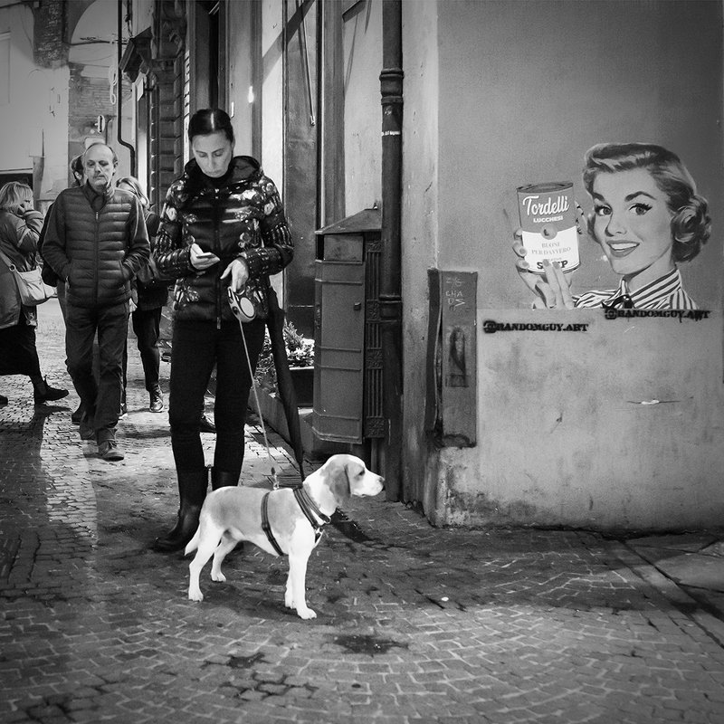 Lucca фото превью