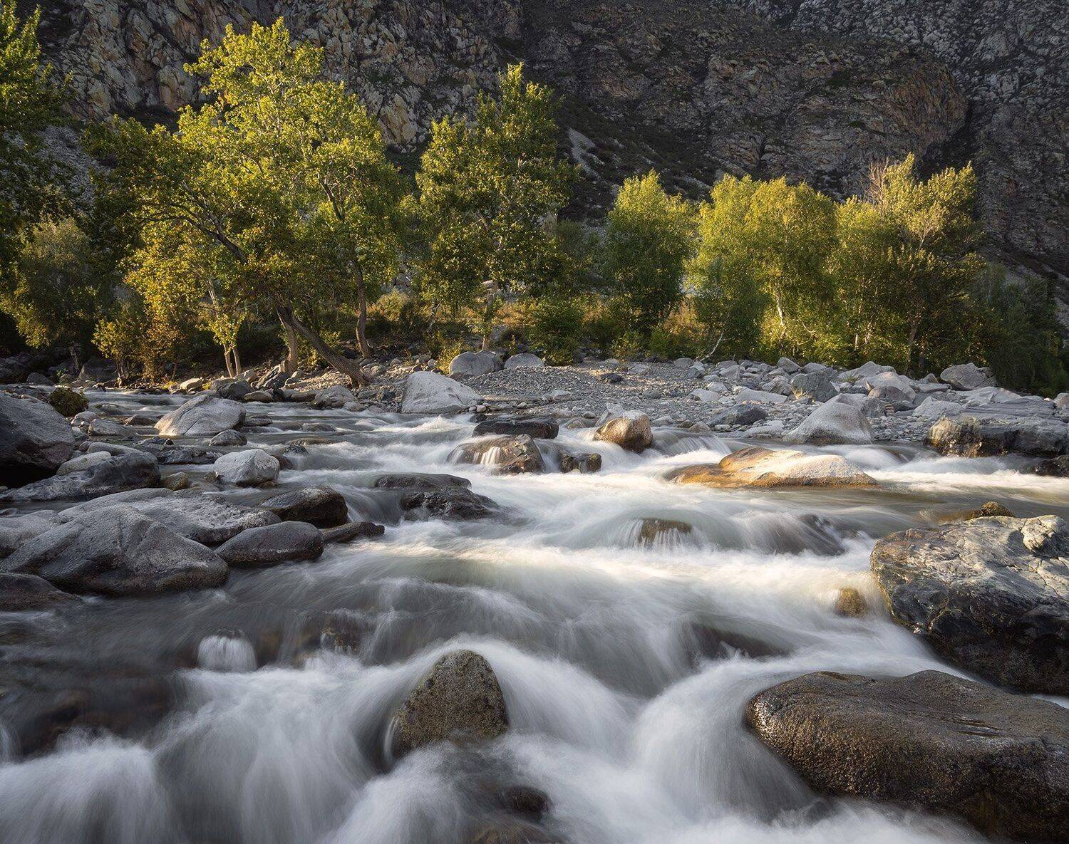 , Лещёнок Александр
