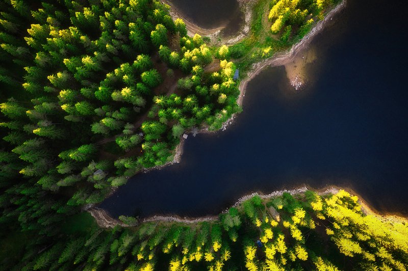 Pure Nature фото превью