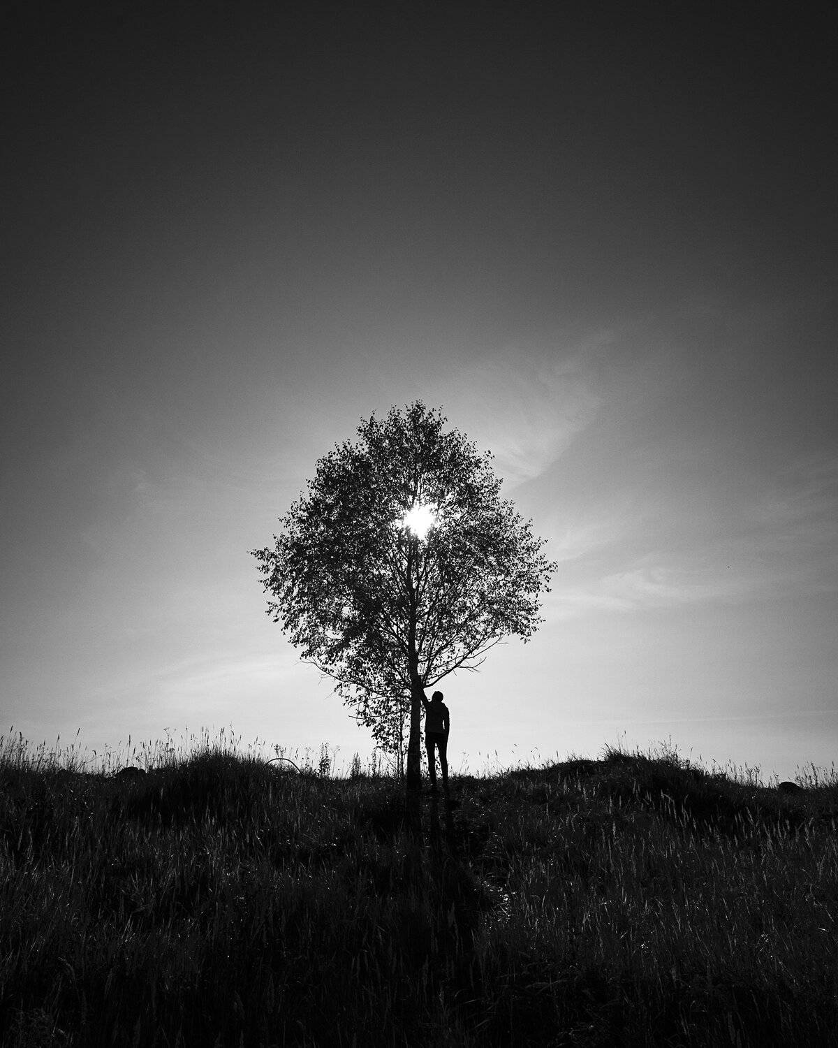 , Денис Храмеев