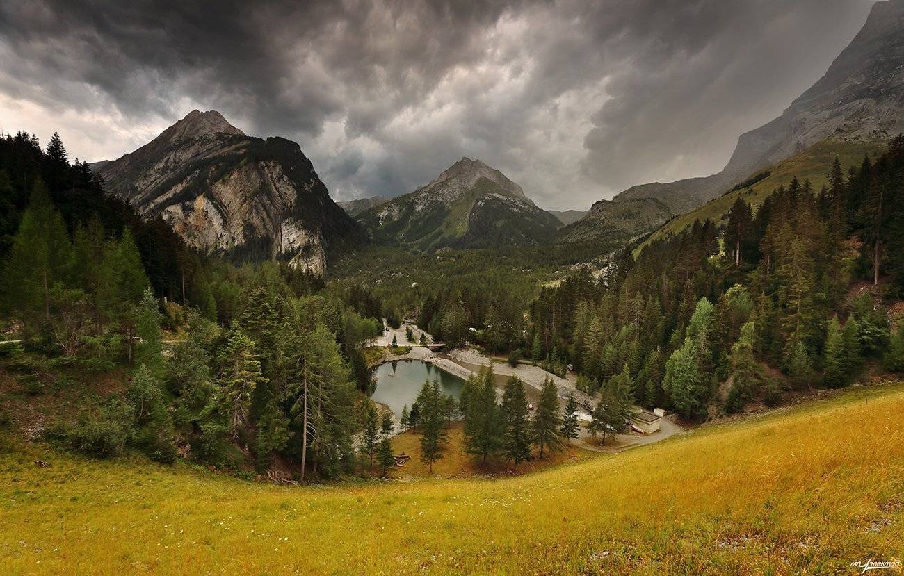 swiss, Матвеев Николай