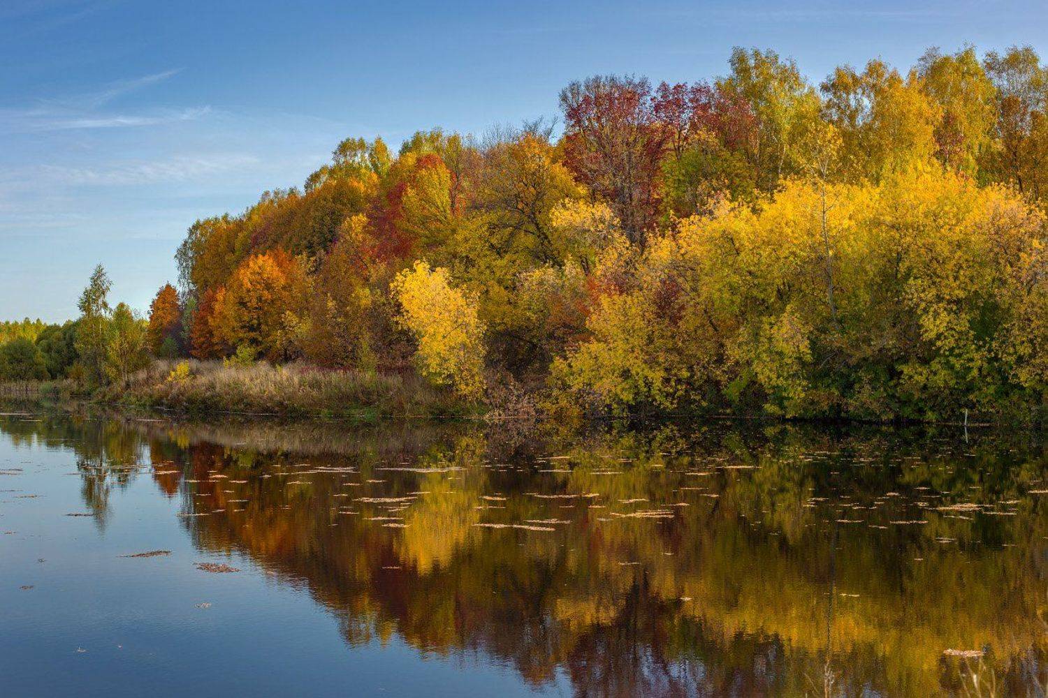 утро, сентябрь, вода, отражение, состояние, Дмитрий Алексеев