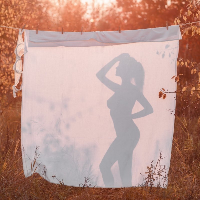 Силуэт фото превью