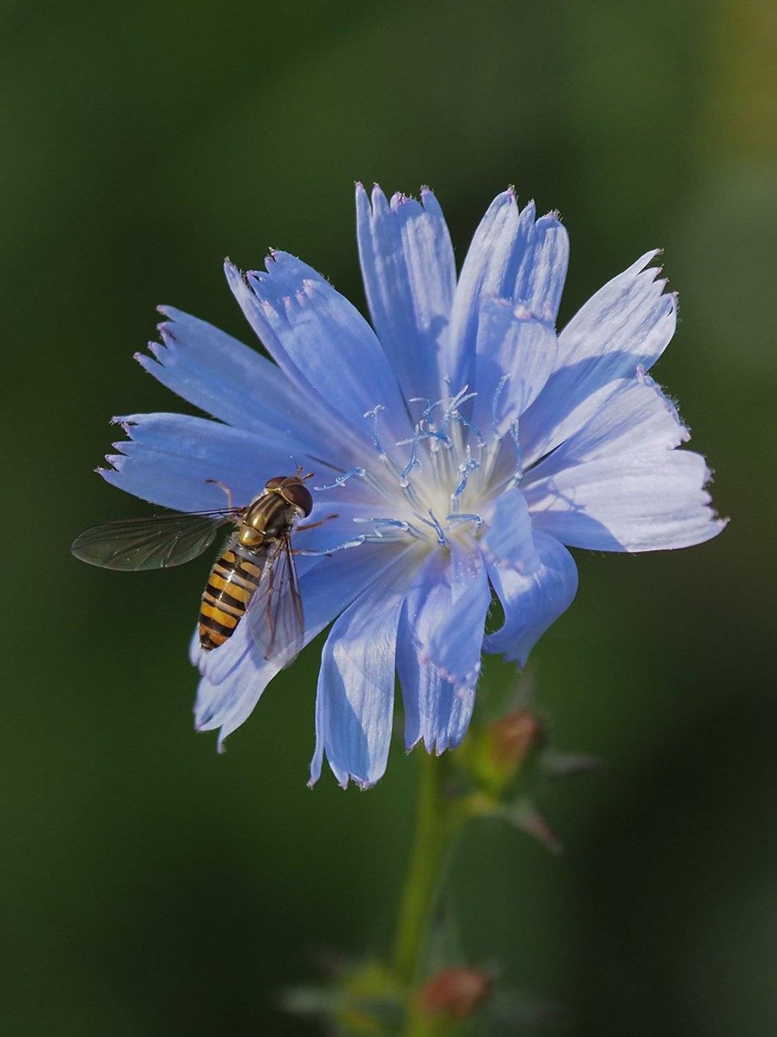 , Сергей Духанин