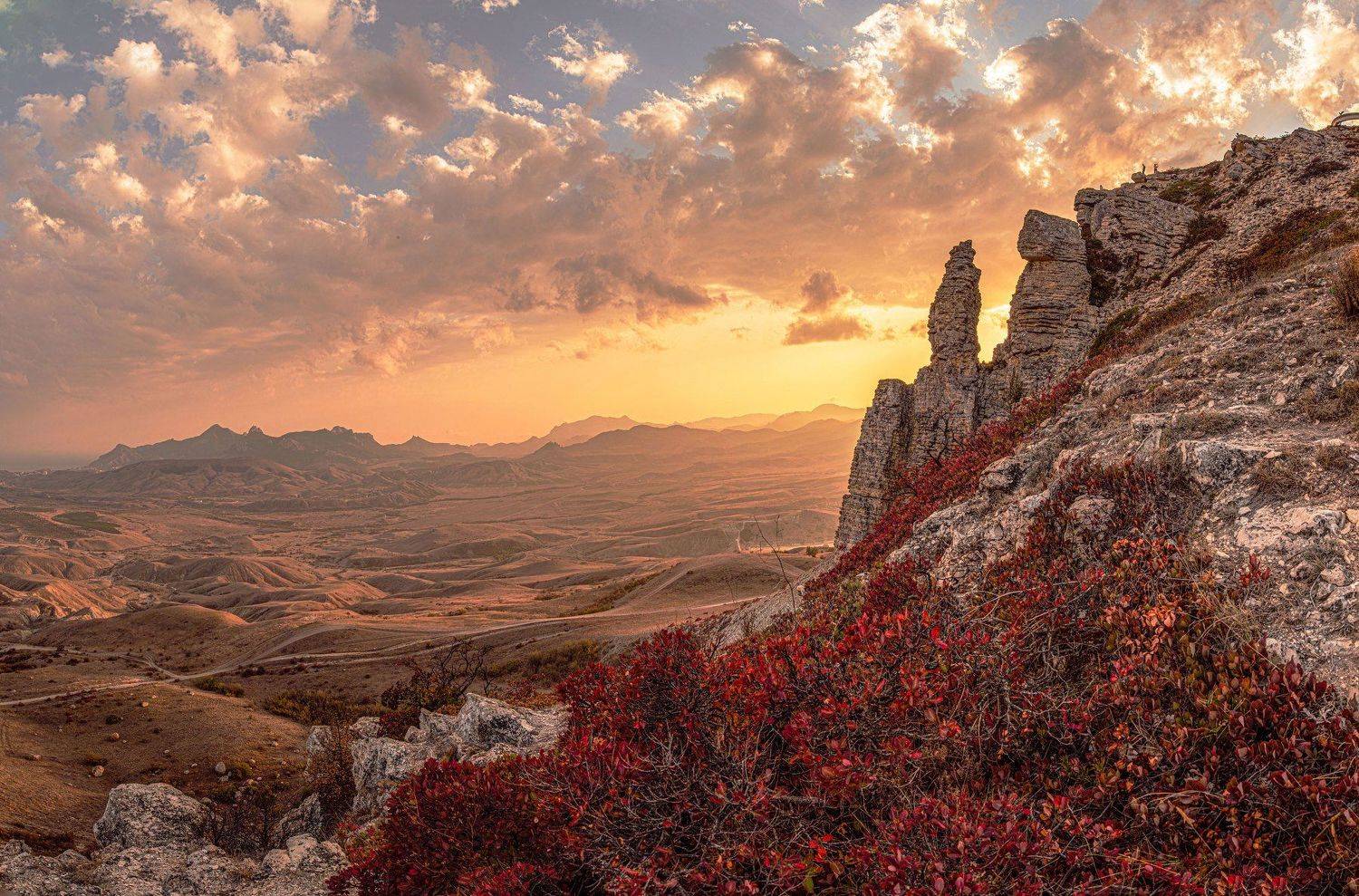 , Игорь Прошаков