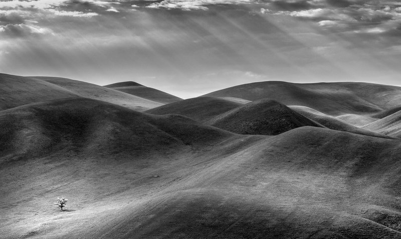 В одиночестве фото превью