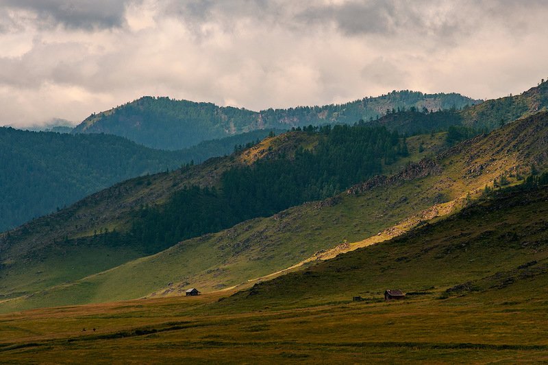 _ фото превью