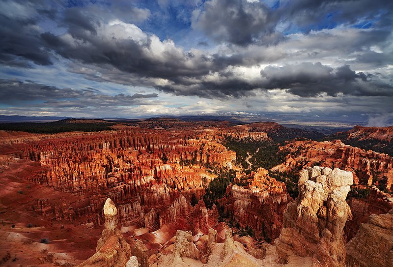 Америка 12 фото превью