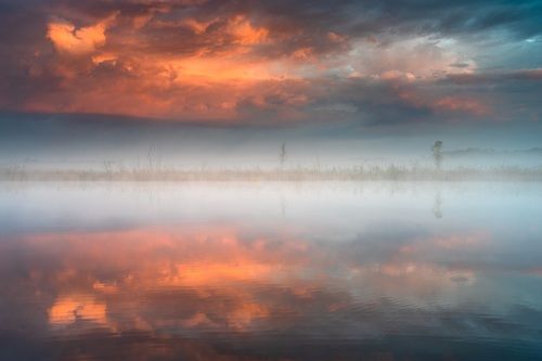 Foggy morning