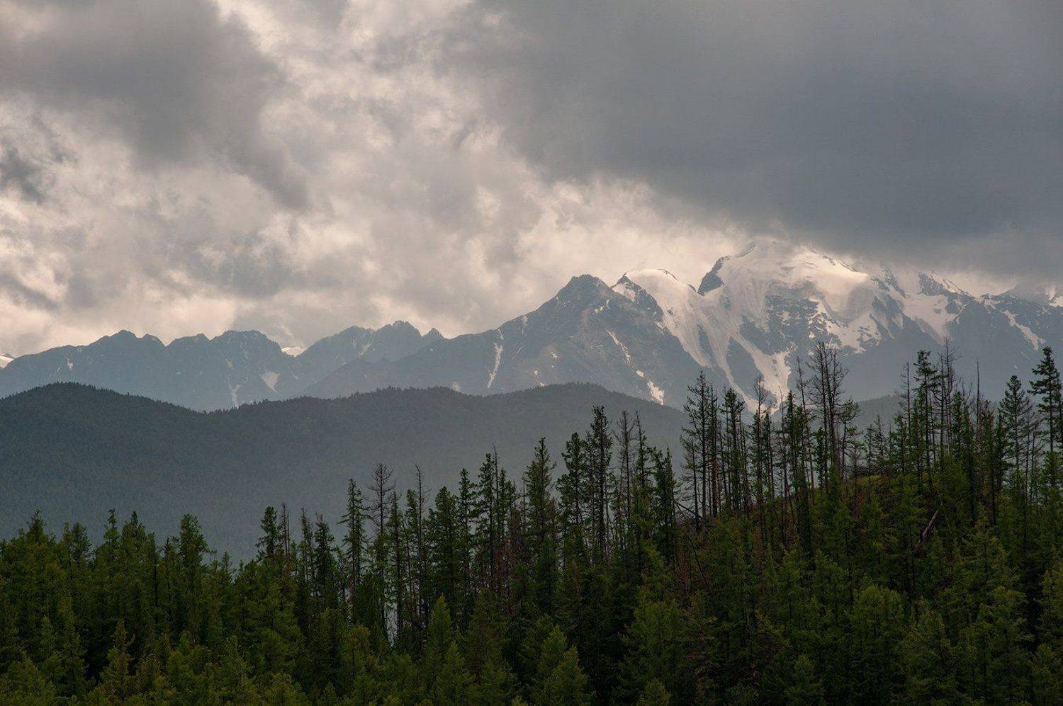 , Олег Логунов