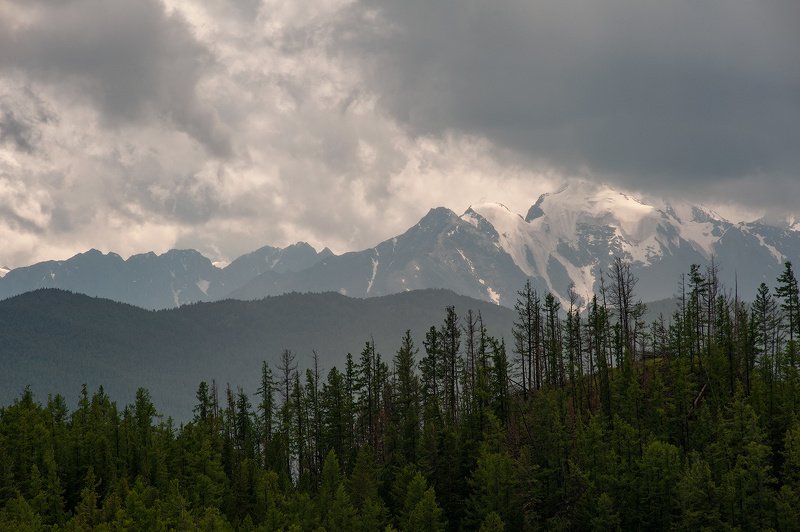 _ фото превью