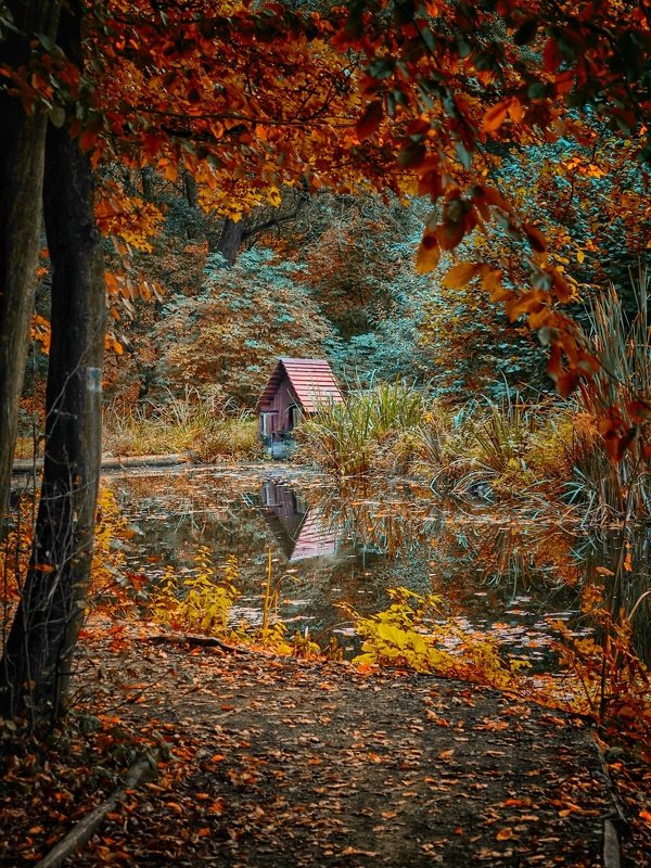 Autumn is here фото превью