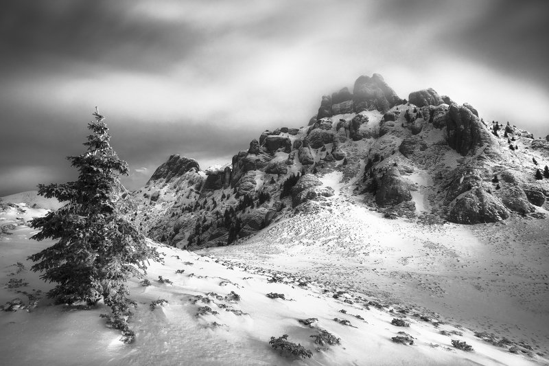 Winter majesty фото превью